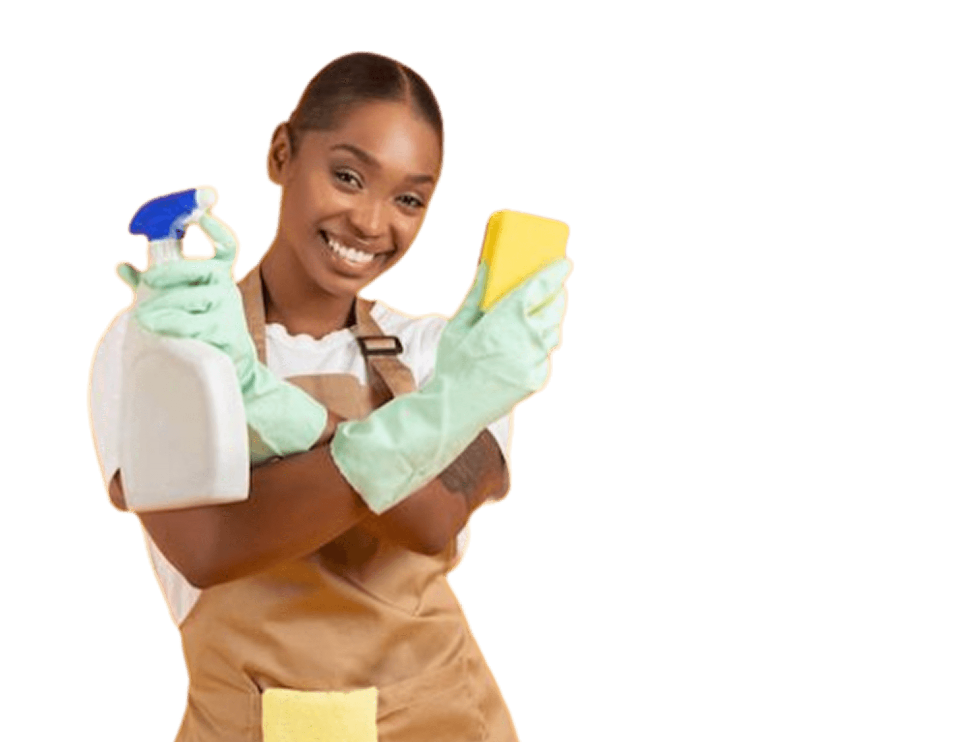 Professional cleaner woman