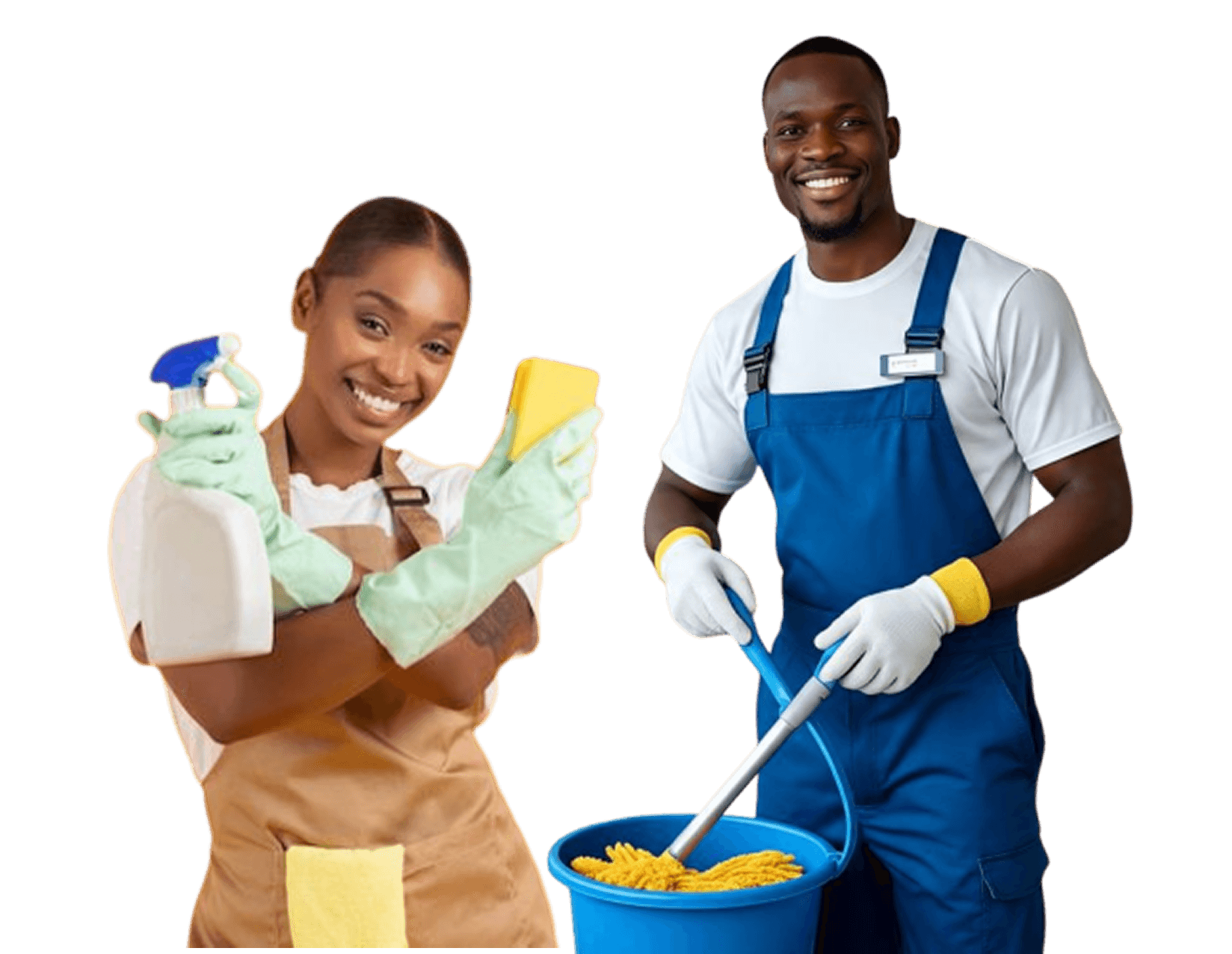 Professional cleaners